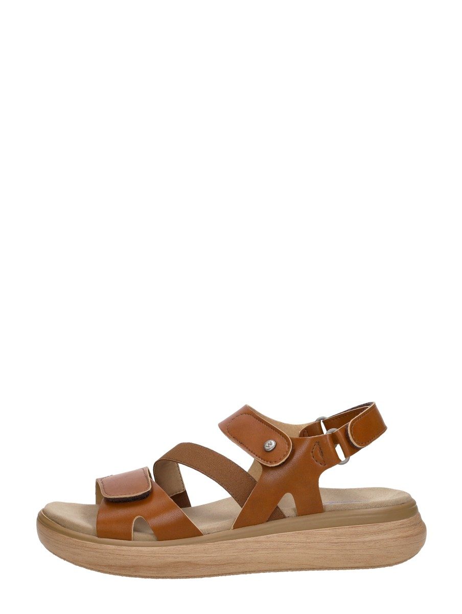 Wolky - Amara – cognac