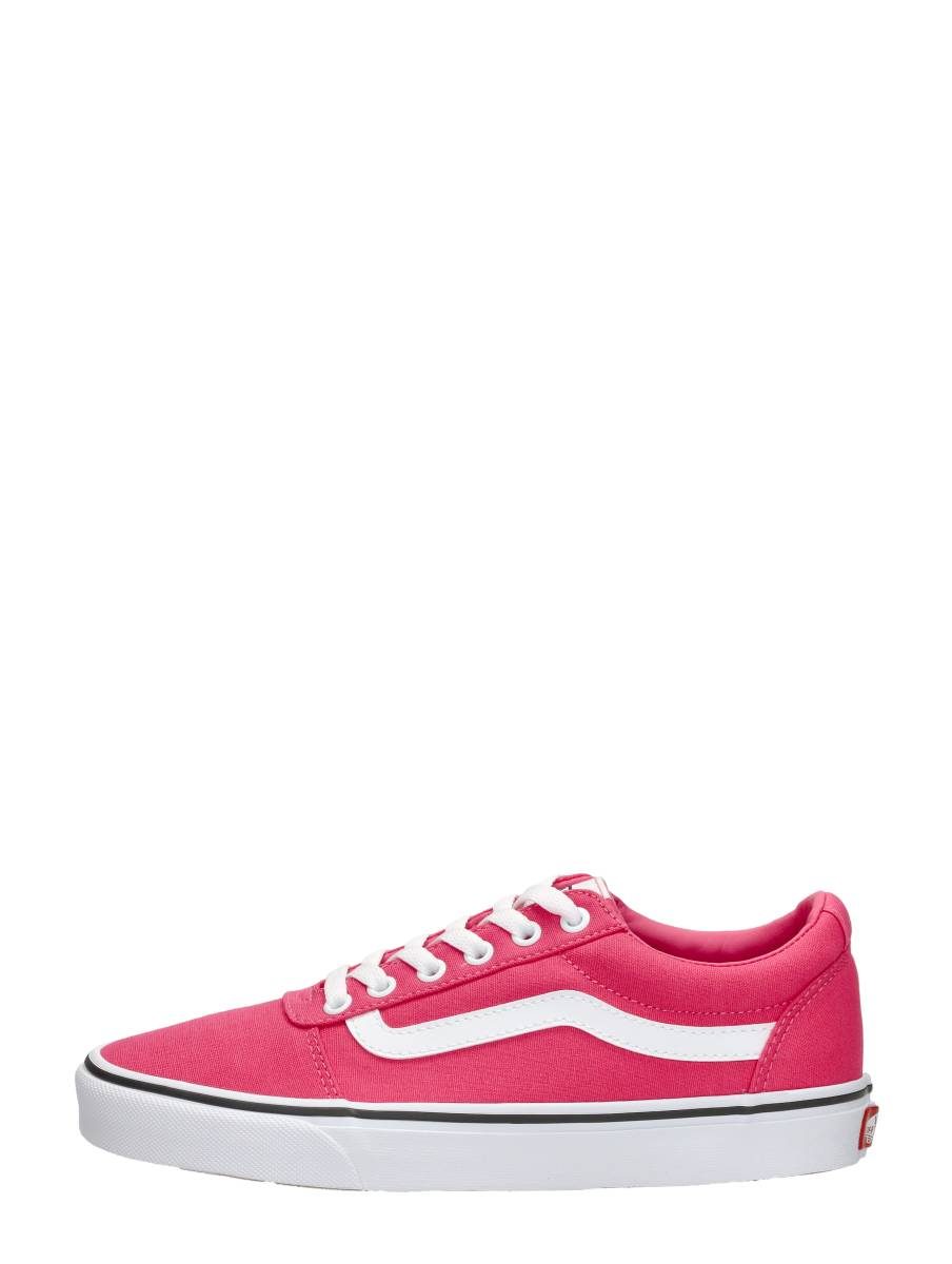 Vans - Ward – roze