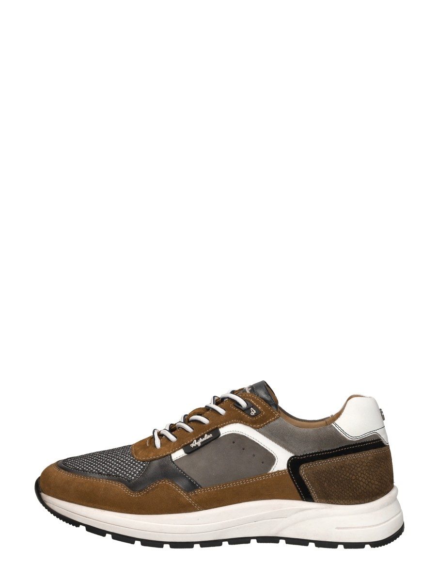 Australian - Moreno – cognac